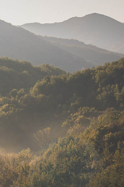 retreat hotel Αρκαδία Πελοπόννησος