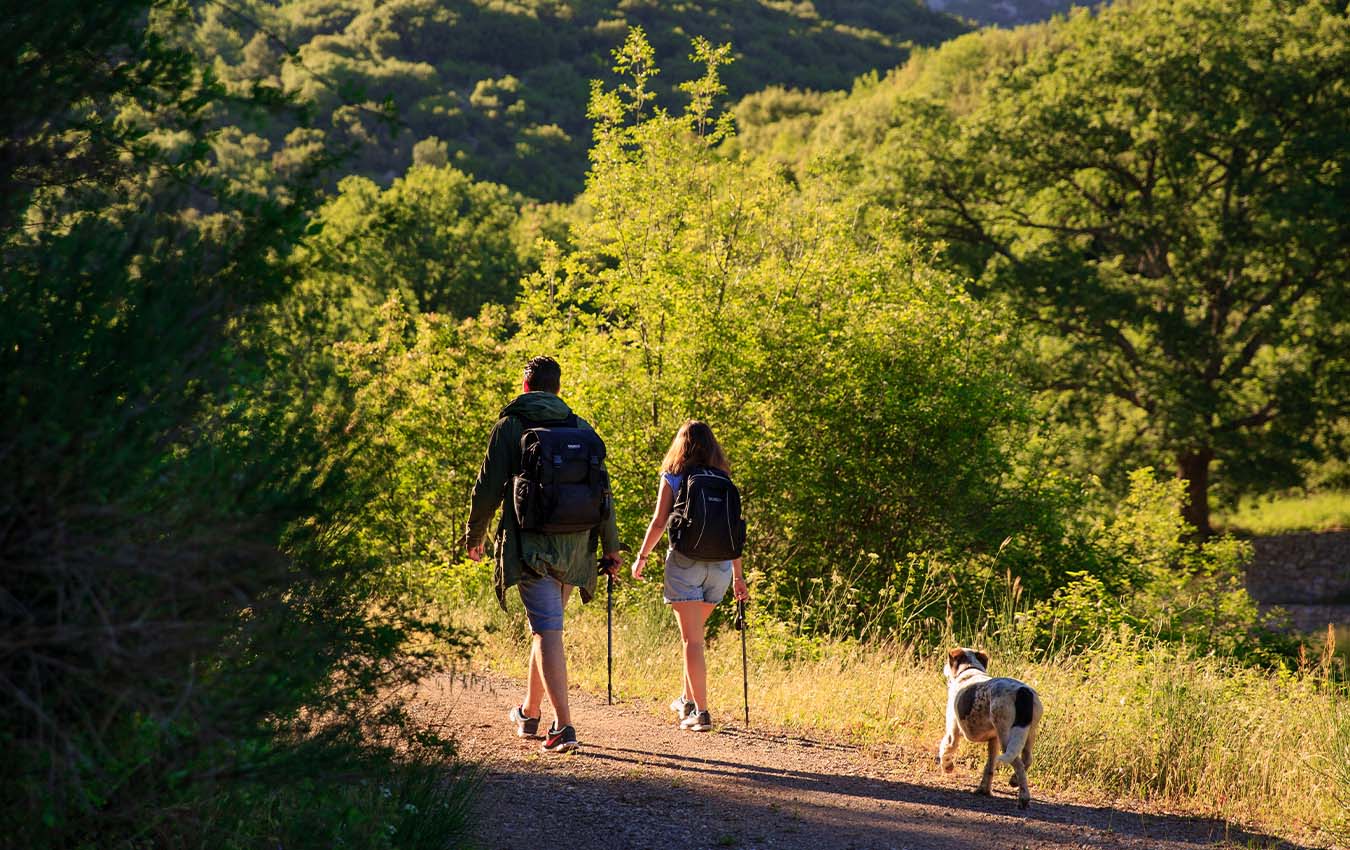 Πεζοπορία στα Μονοπάτια του Απόλλωνα