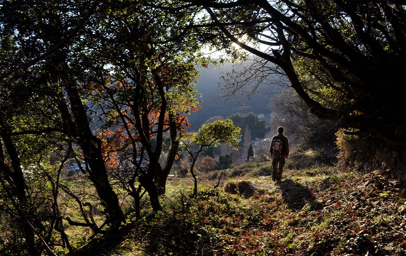Πεζοπορία στα Μονοπάτια του Απόλλωνα