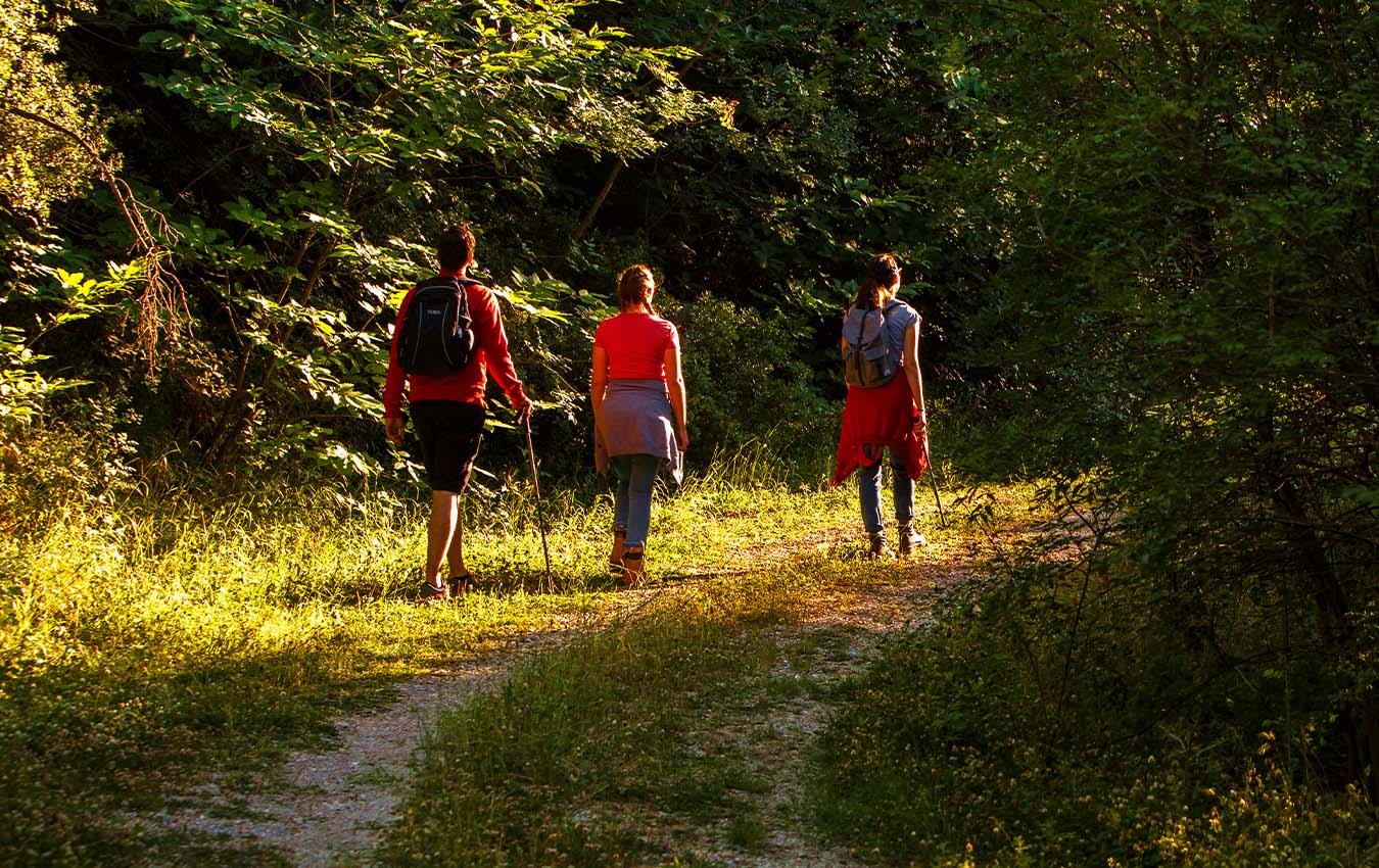 Πεζοπορία στα Μονοπάτια του Απόλλωνα