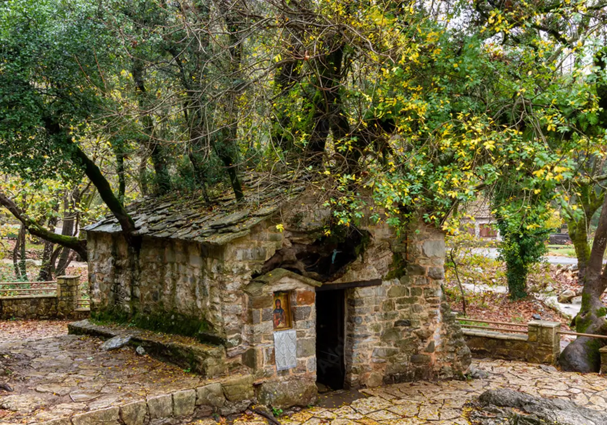 Sightseeing & Excursions